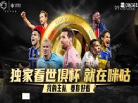 㱭С ɵVSεɽHD 20250626