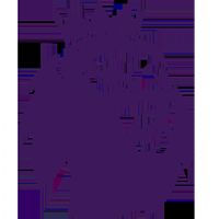 Ӣ�� ����vs������ķ�ȴ�20250823