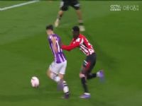 �������� ����������VS�϶��Ͷ����� 20241111